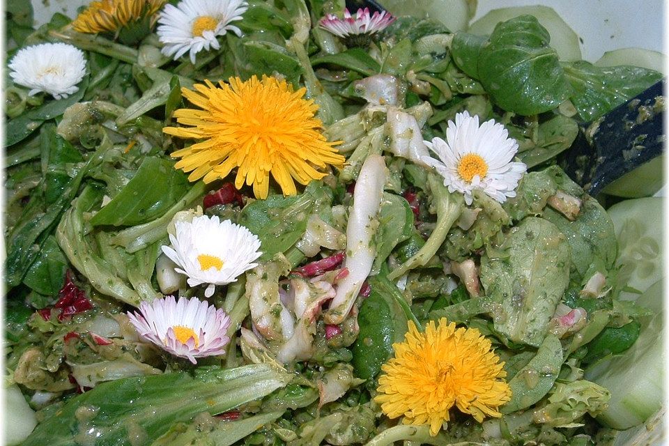 Feldsalat mit Wildkräutern und Radieschengrün