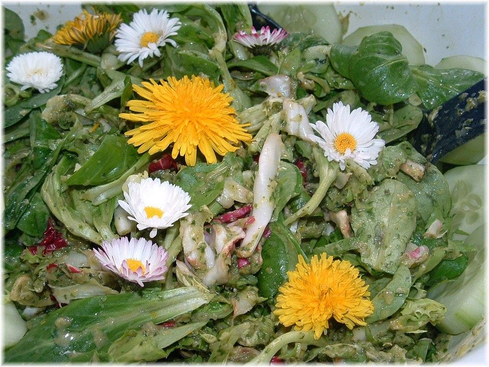 Feldsalat mit Wildkräutern und Radieschengrün von patty89| Chefkoch