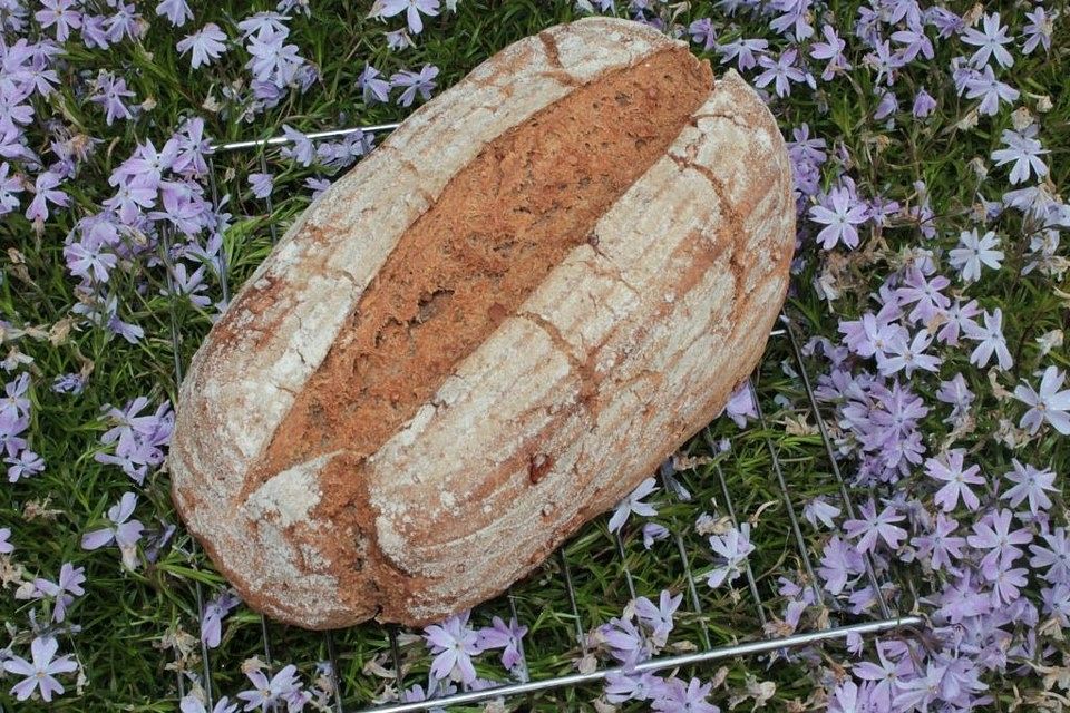 Weizen-Dinkel-Einkorn-Brot mit Roggen