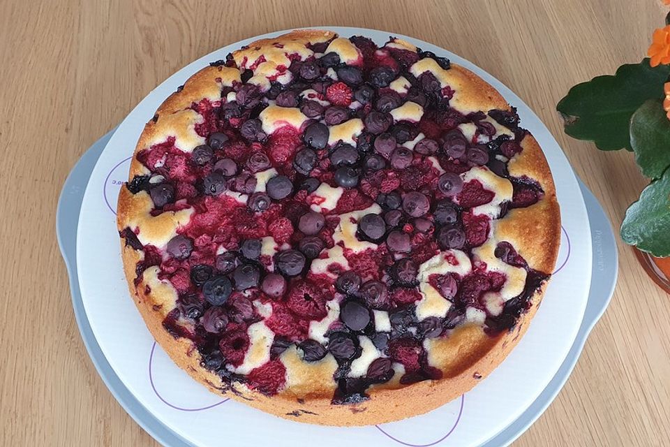 Joghurt Frucht Blechkuchen