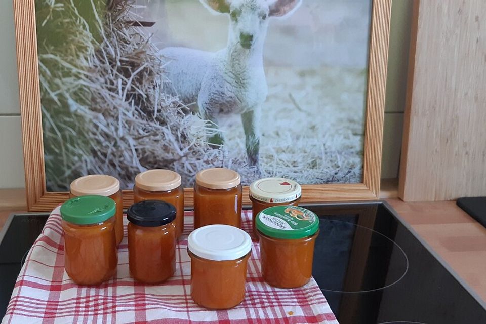 Gulderoed – Dänische Aprikosenmarmelade mit Möhren