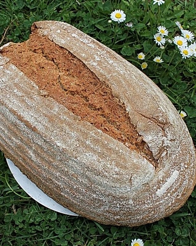 Kefir-Vollkorn-Sauerteig-Brot mit Goldleinsamen