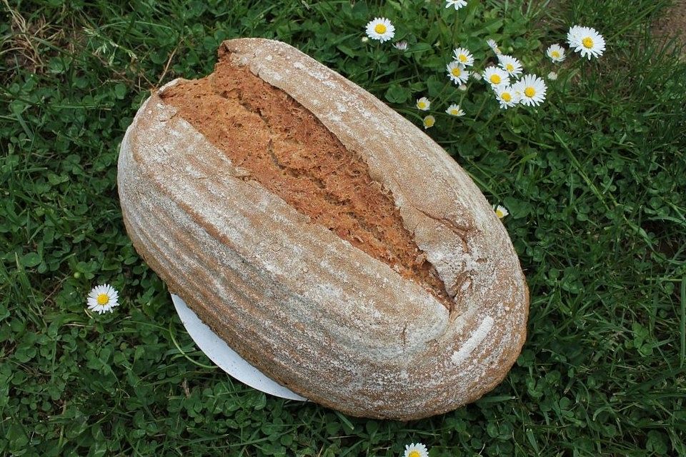 Kefir-Vollkorn-Sauerteig-Brot mit Goldleinsamen