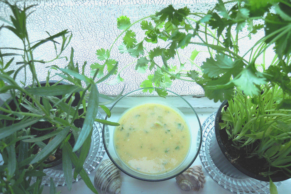 Französische Kartoffelsuppe mit Estragon und Koriander