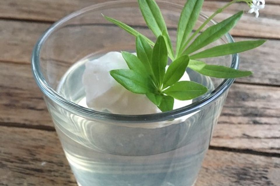 Waldmeister Wackelpudding