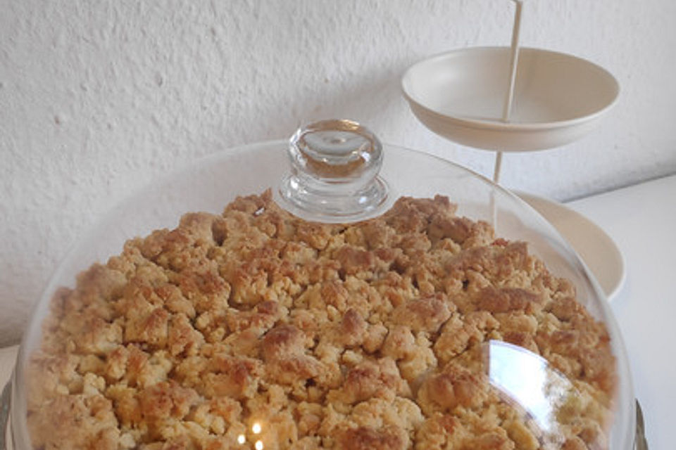 Rhabarber-Erdbeer-Kuchen mit Streuselteig