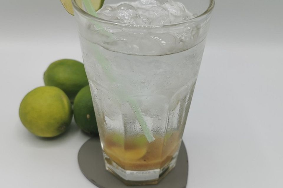 Virgin Mojito