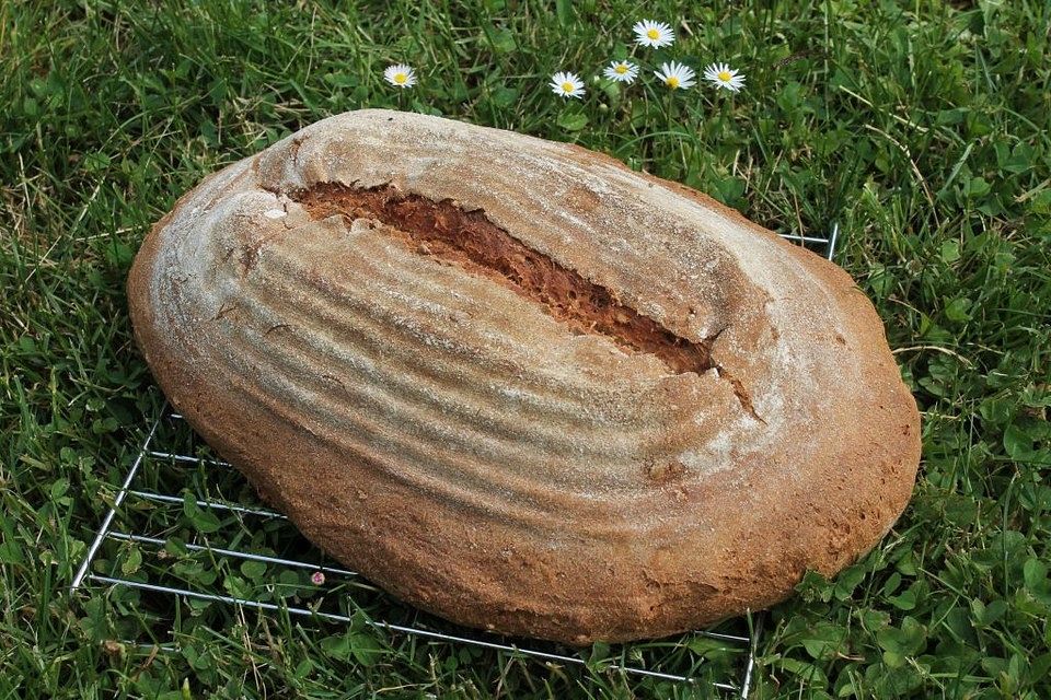 Einkorn-Weizen-Dinkel-Molke-Vollkornbrot