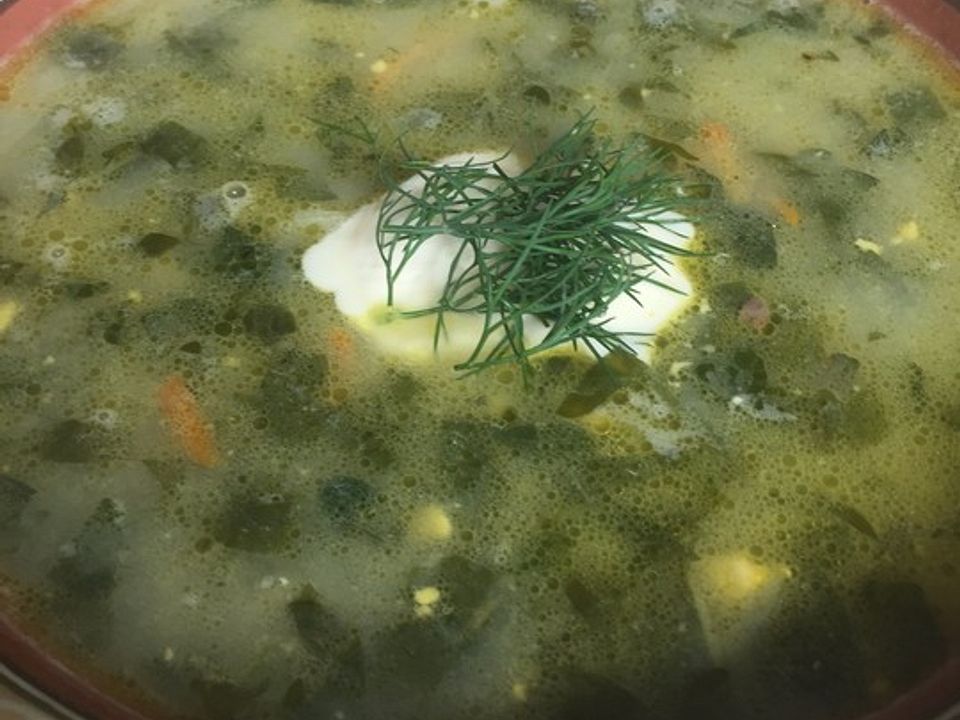 Ukrainischer grüner Borschtsch von Bentson| Chefkoch