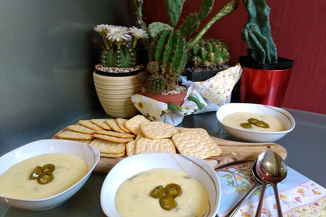 Cremige Kaktussuppe von Krmelmonster_68