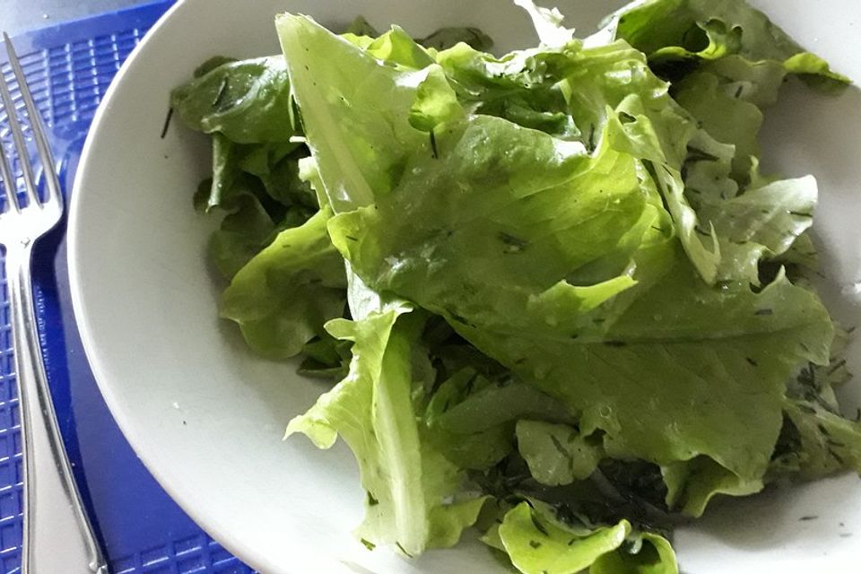 Pflücksalat mit Karottendressing