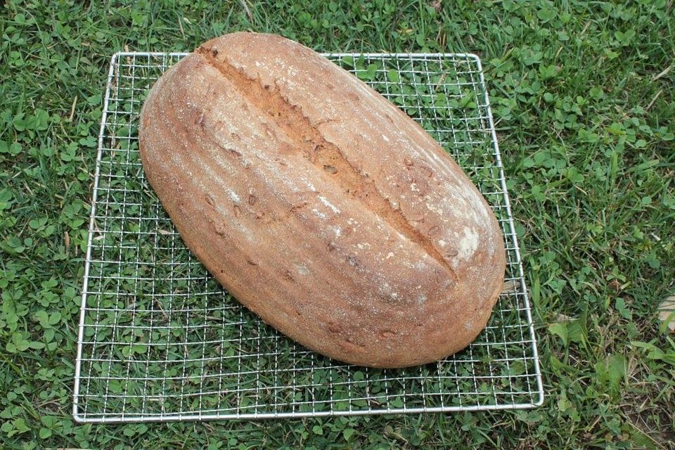 Kamut-Dinkel-Vollkornbrot mit Sauerteig und Sonnenblumenkernen