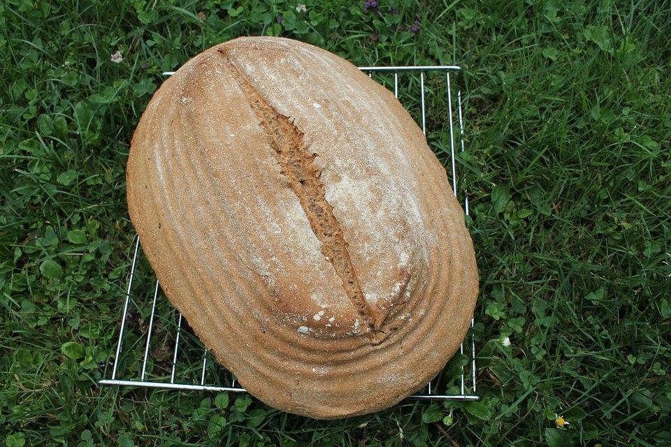 Sauerteig-Vollkorn-Brot mit Flohsamen, Chiasamen und zwei Leinsamensorten