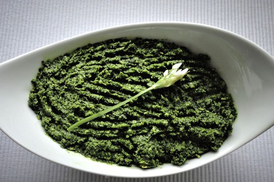 Bärlauch - Pesto