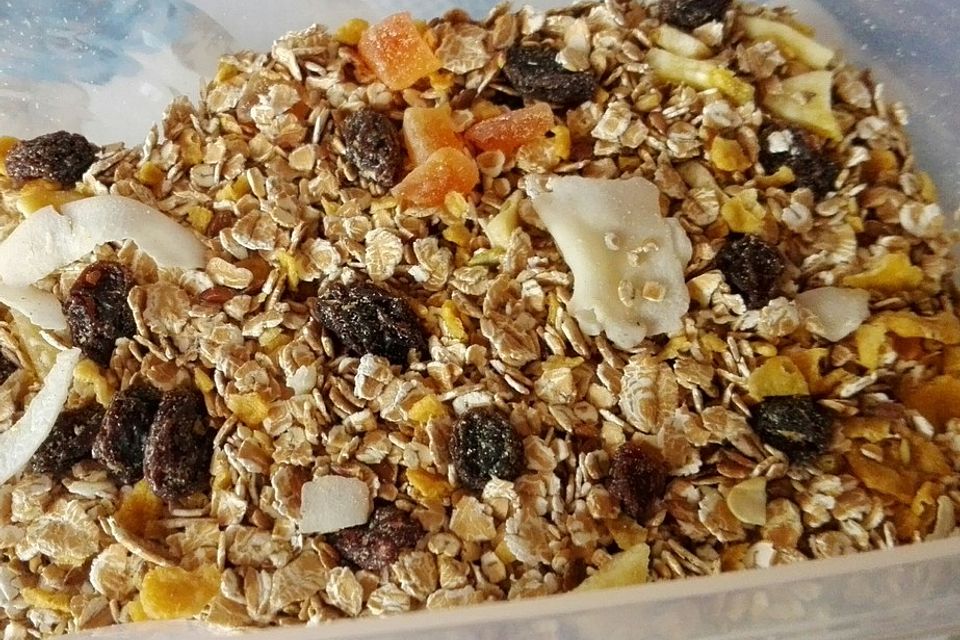 Dinkel-Früchte-Müsli