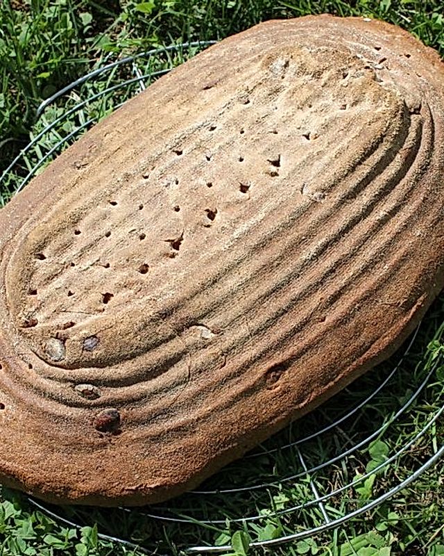 Kamut-Dinkel-Kürbiskern-Brot mit Kürbiskernöl