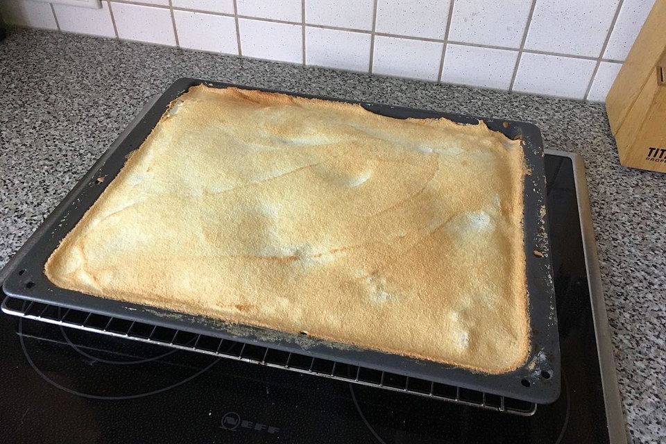 Apfelkuchen mit Schneehaube nach Omas Rezept