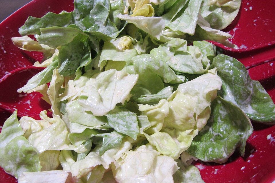 Kopfsalat mit saure Sahne-Dressing