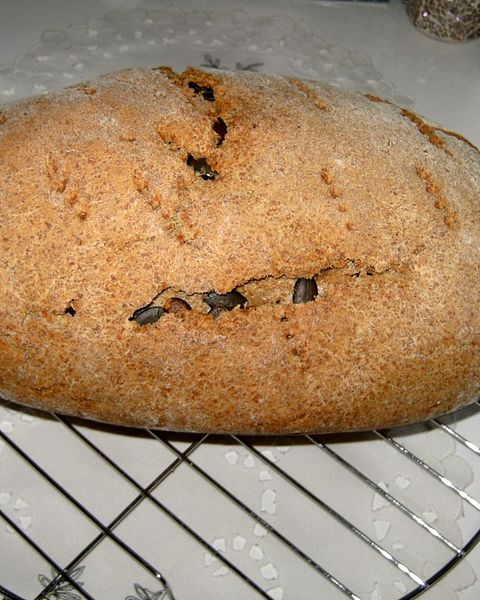Kürbiskernbrot Rezepte | Chefkoch