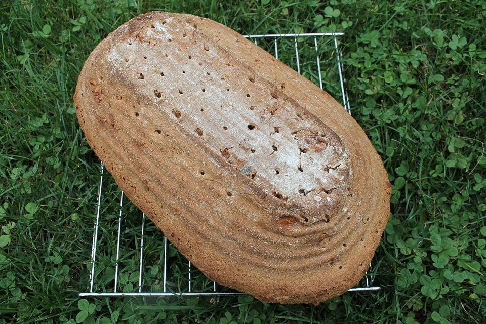 Molke-Vollkorn-Brot mit zweierlei Leinsamen und Kürbiskernöl