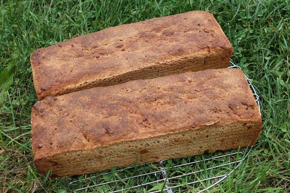 Dinkel-Weizen-Vollkornbrot mit Molke und Käse