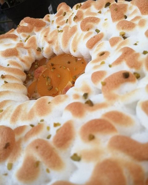 Pfirsichkuchen Rezepte | Chefkoch