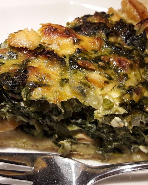 Stremellachs Rezepte | Chefkoch