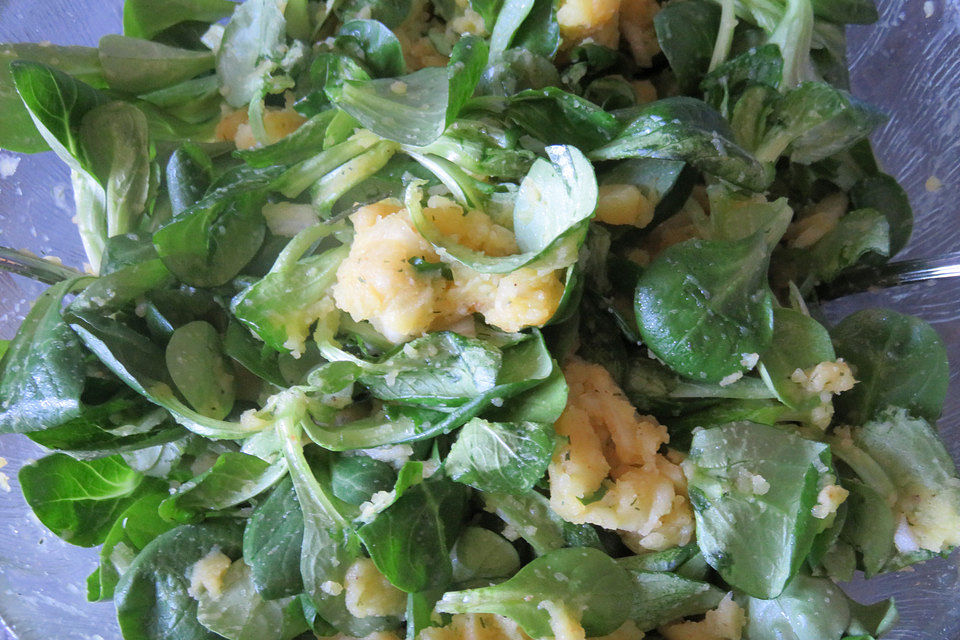 Feldsalat mit Kartoffeldressing Feldsalat mit Kartoffeldressing