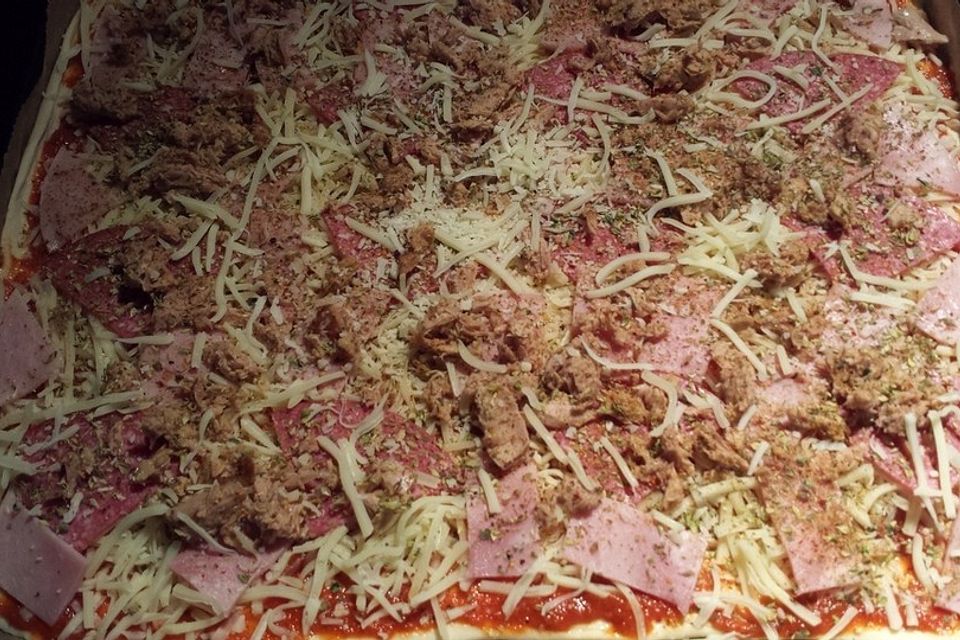 Käse - Salami - Kochschinkenpizza