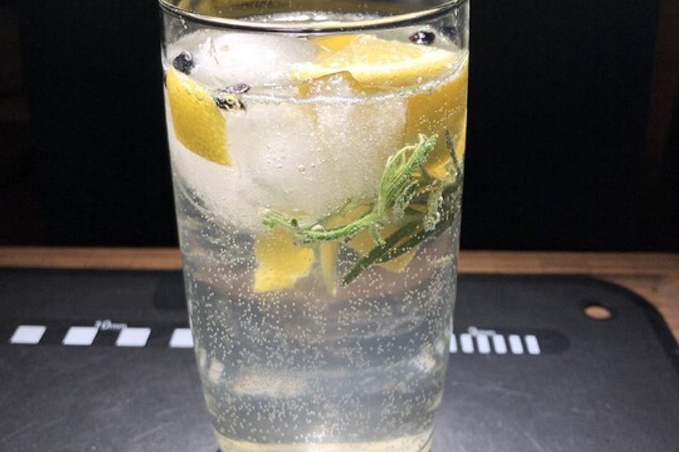 Gin Tonic Juniper Journey