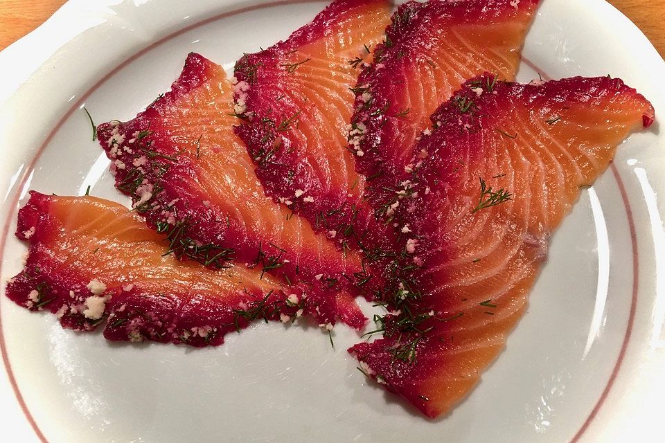 Graved Lachs - Beize mit Roter Bete, frischem Meerrettich, Wodka und Dill