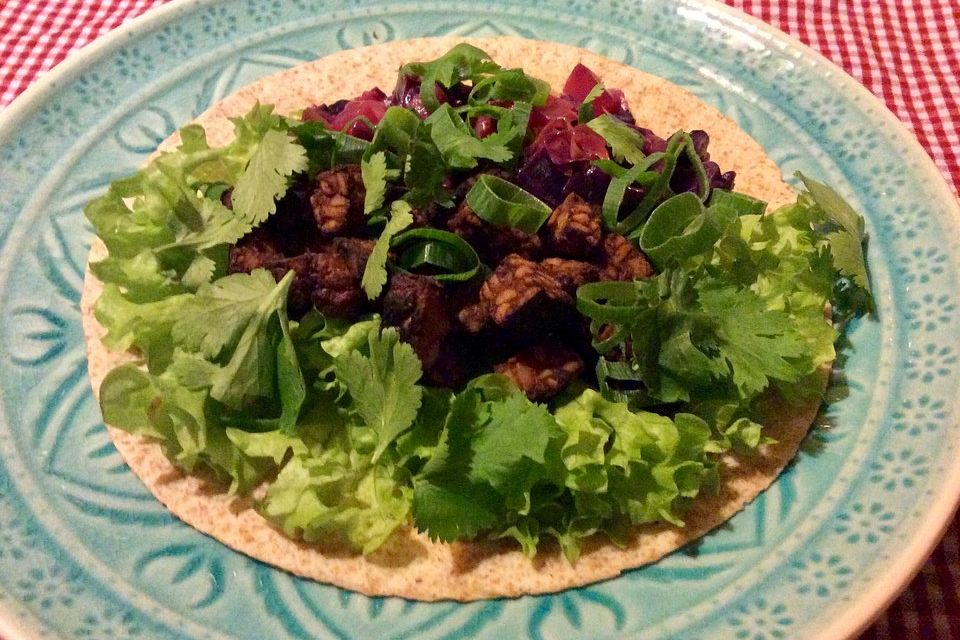 Tempeh-Tortillas mit Mango-Rotkraut