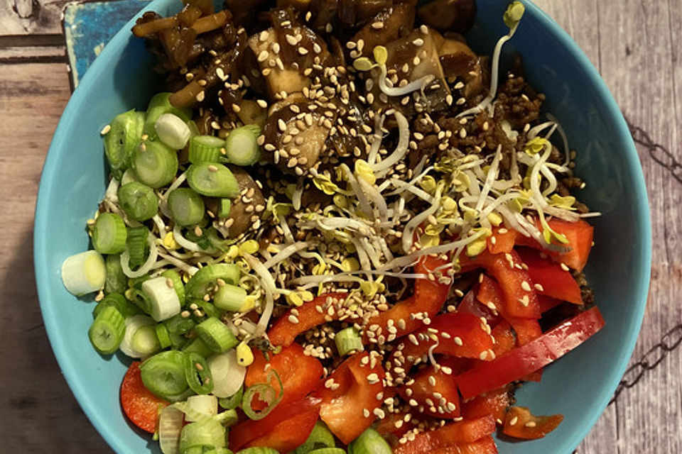 Beef-Bowl Teriyaki Style