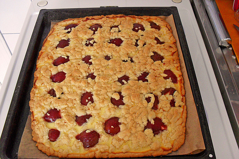 Zwetschgen-Streuselkuchen mit Pudding