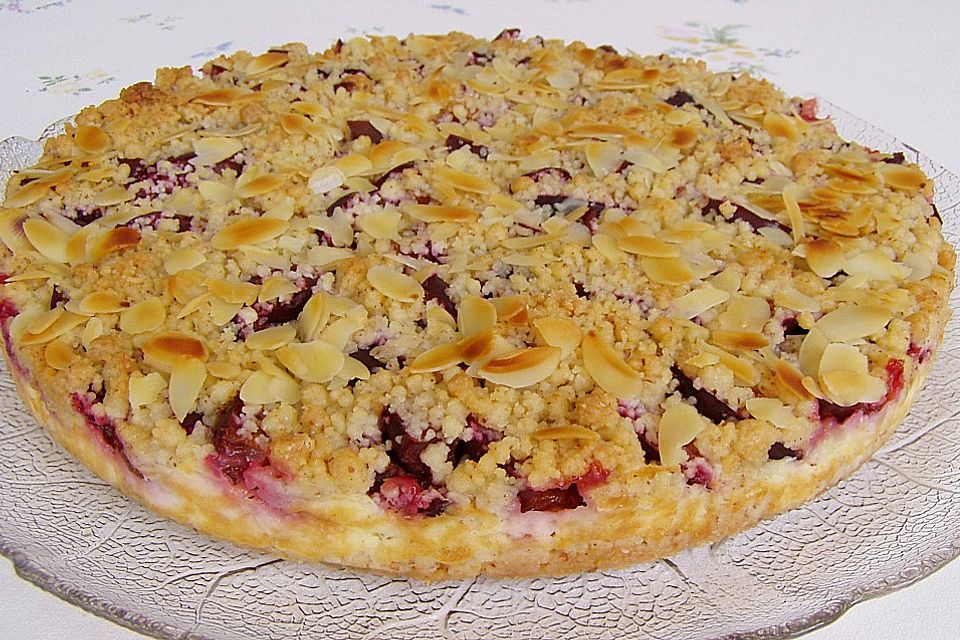 Zwetschgen-Streuselkuchen mit Pudding