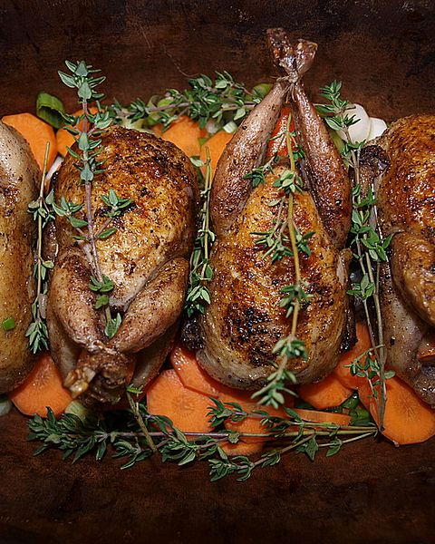 Wachteln Rezepte - die besten Rezepte 2025 | Chefkoch