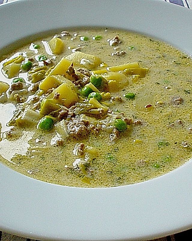 Käse - Hackfleisch - Suppe mit Gemüse