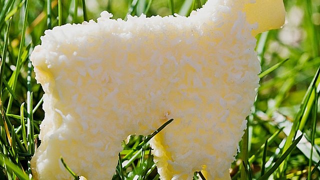 Kokos - Lämmchen von alina1st Kokos - Lämmchen von alina1st