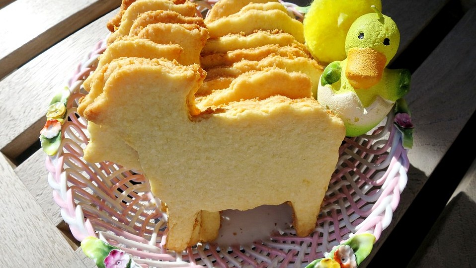 Kokos - Lämmchen von alina1st Kokos - Lämmchen von alina1st