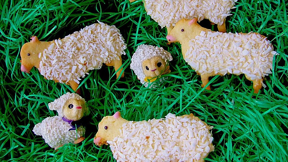 Kokos - Lämmchen von alina1st Kokos - Lämmchen von alina1st