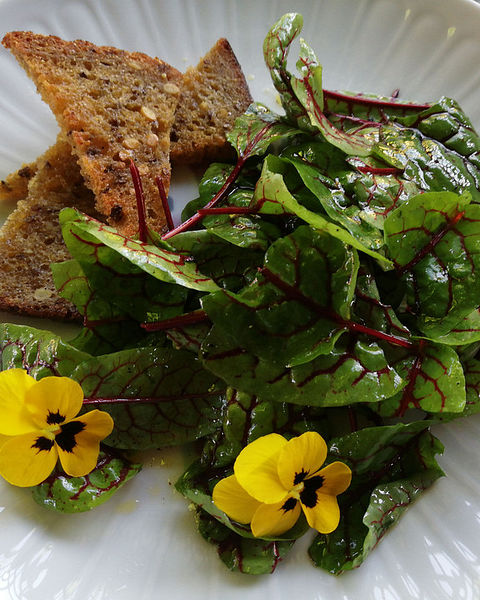 Sauerampfer Rezepte | Chefkoch Sauerampfer Rezepte | Chefkoch