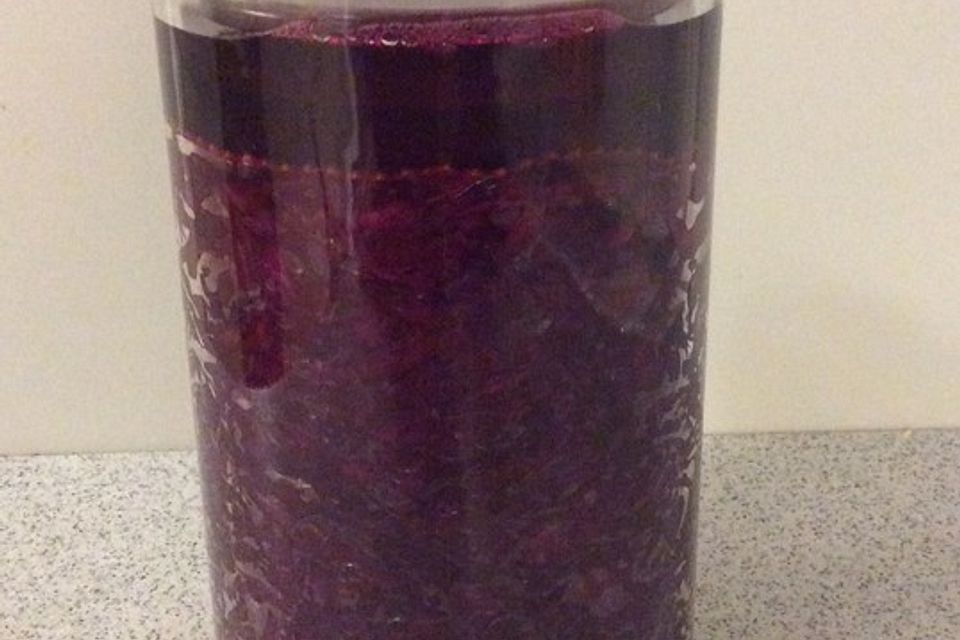 Fermentierter Apfel-Rotkohl