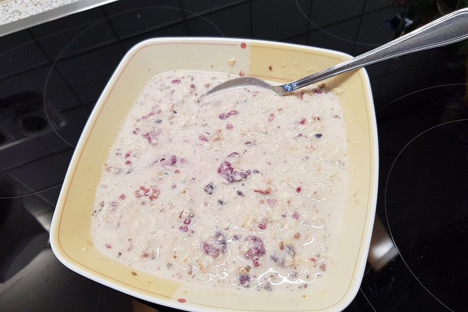 Protein-Porridge mit Beeren