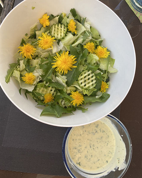 Löwenzahnsalat Rezepte | Chefkoch