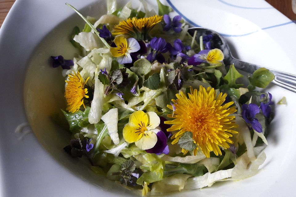 Chicorée-Eisbergsalat mit Blüten in feiner Löwenzahn-Senf-Vinaigrette