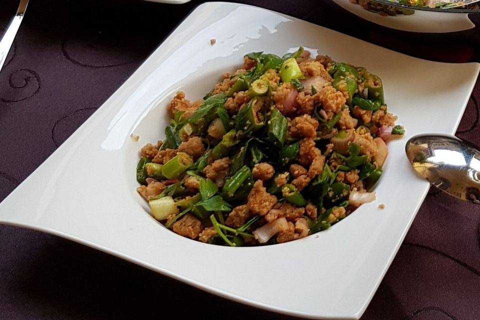 Thai Larb Salad - lauwarmer Thailändischer Hackfleischsalat