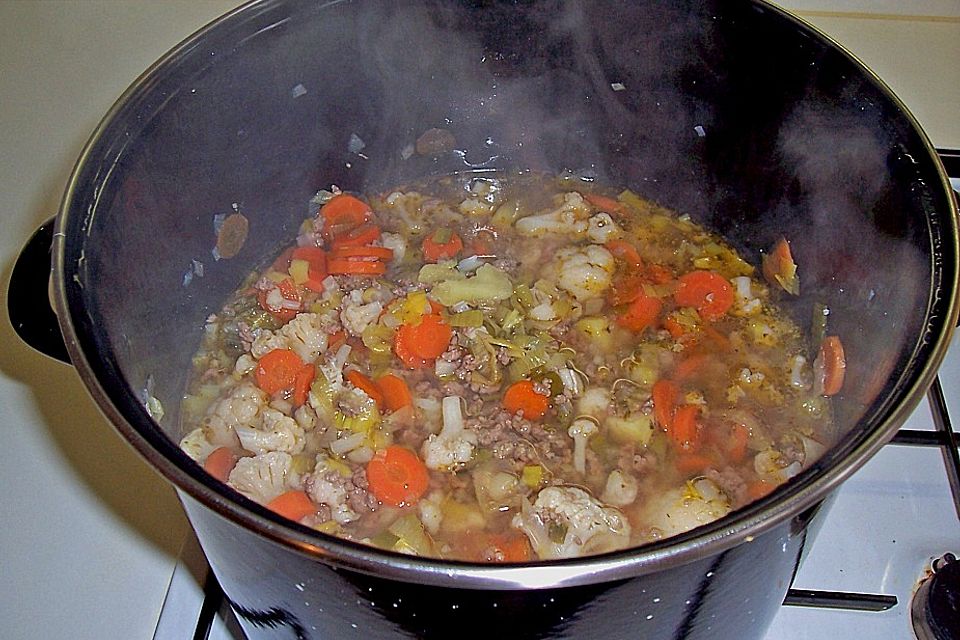 Möhren-Blumenkohl-Eintopf mit Hackfleisch