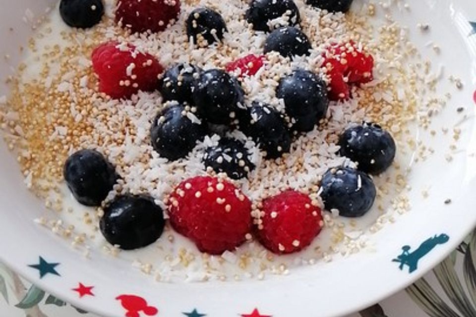 Low Carb Frühstück mit Quark, Himbeeren und Haferflocken