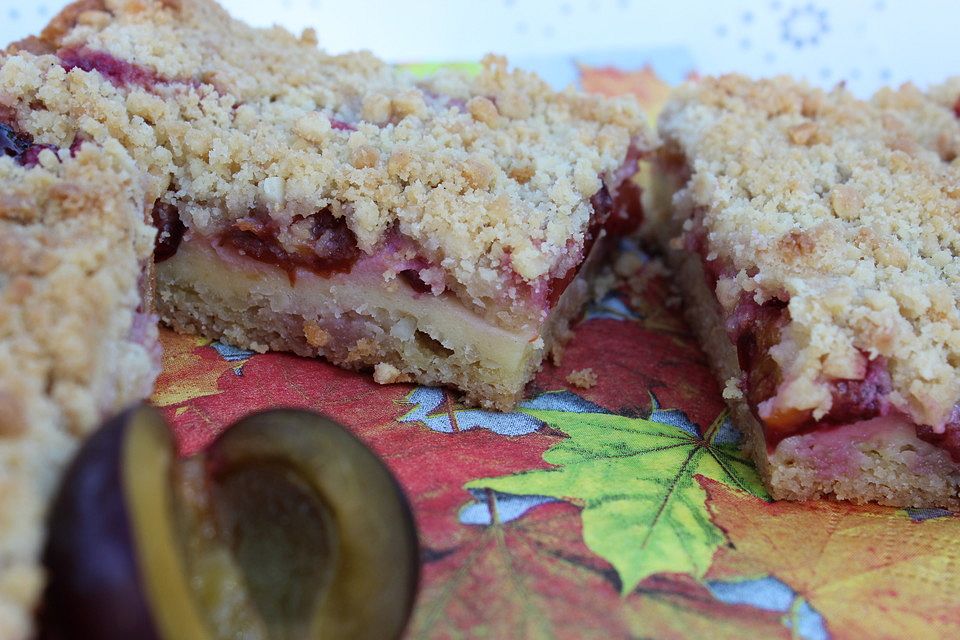 Zwetschgenkuchen mit Quark und Nuss-Streuseln