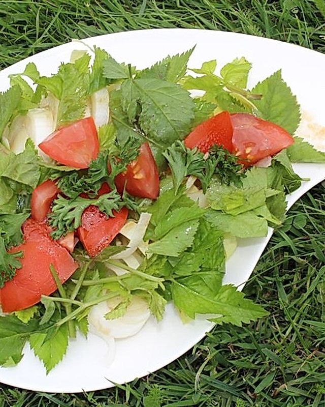 Giersch-Chicorée-Salat mit Tomaten